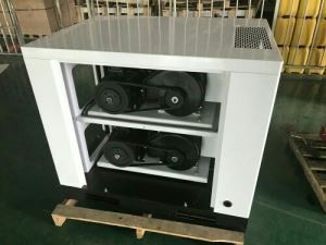 Compresseur d'air défilé sans huile pour l'industrie